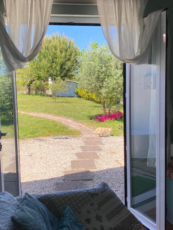 Affittacamere A Quinta Da Estrelinha Quinta de Cavaleiros Esterno foto